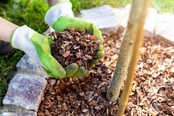 Tree Bark Delivery in Belleville