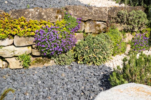 Landscaping Rocks Installation in Belleville