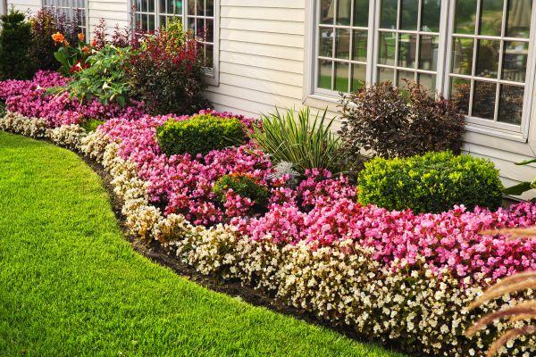 Garden Landscape Design in Belleville