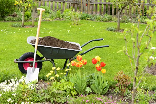 Spring Yard Renovation in Belleville