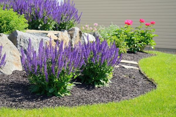 Landscape Planting Service in Belleville