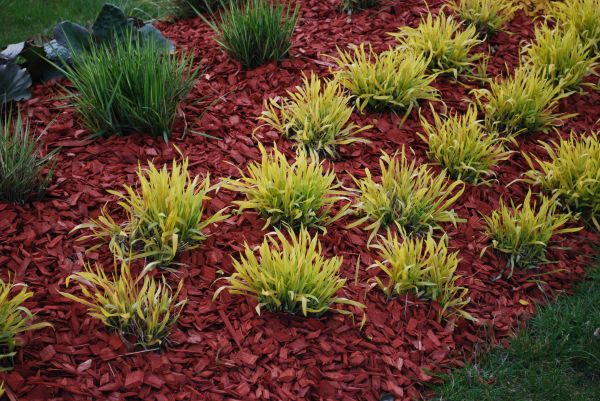 Red Mulch Installation in Belleville