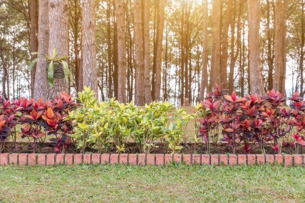 Small Garden Landscaping in Belleville