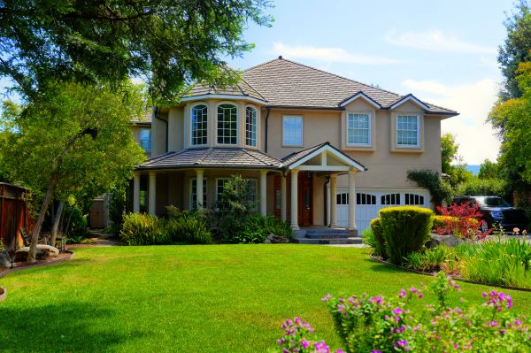 Large Yard Landscaping in Belleville