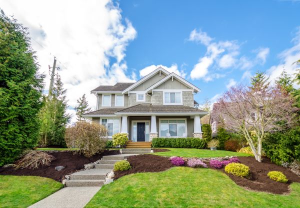 Landscaping Replacement in Belleville