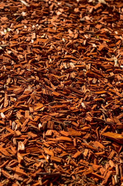 Cedar Mulch Spreading in Belleville