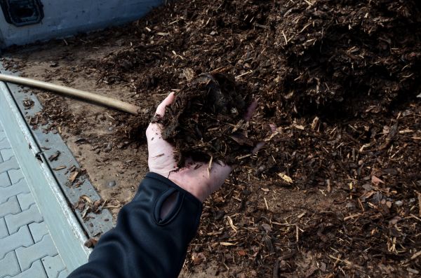 Condo Mulching in Belleville