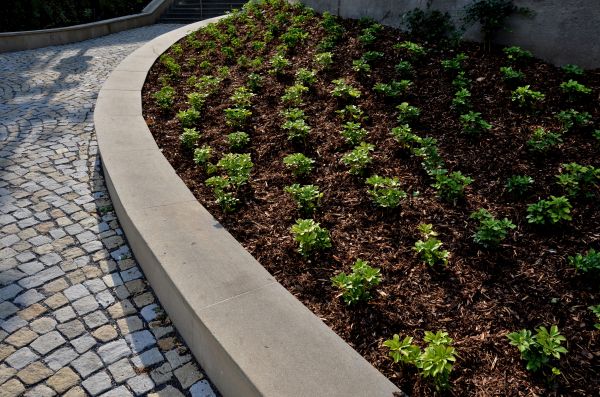 Commercial Mulching in Belleville