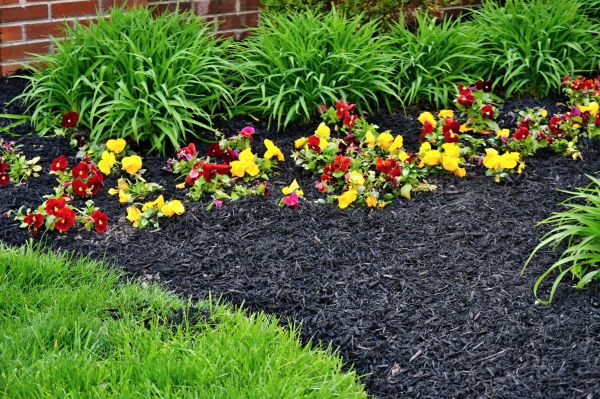 Apartment Mulching in Belleville